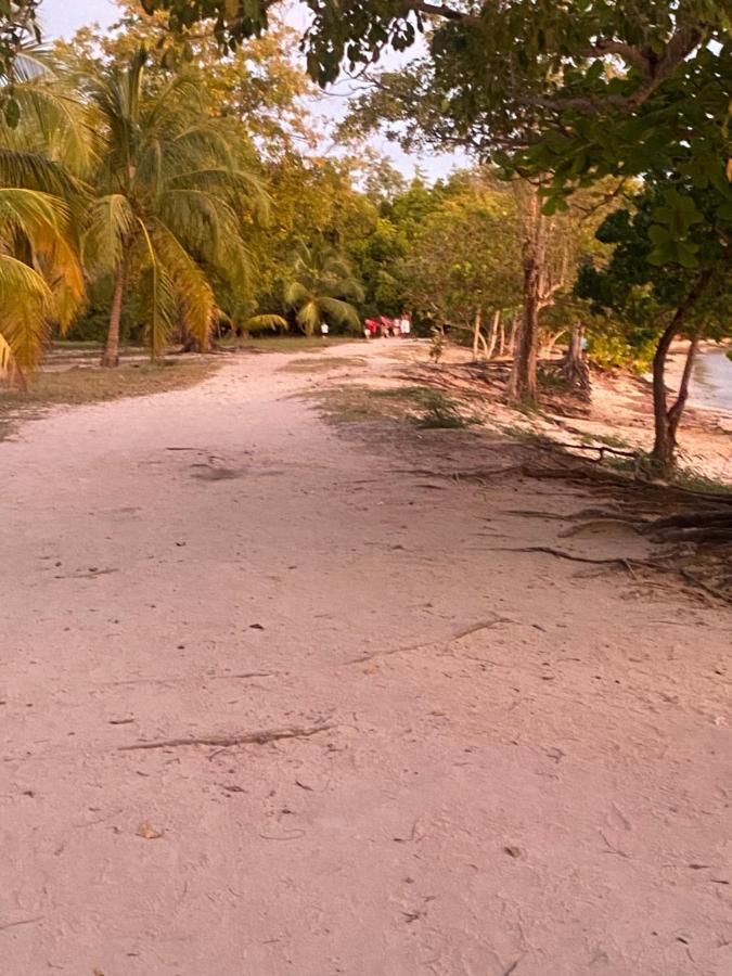 La Maison De La Plage Sainte-Luce Dış mekan fotoğraf